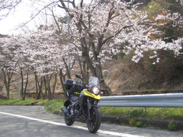 イメージ 22