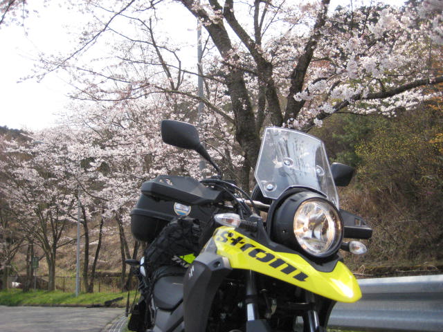 イメージ 23
