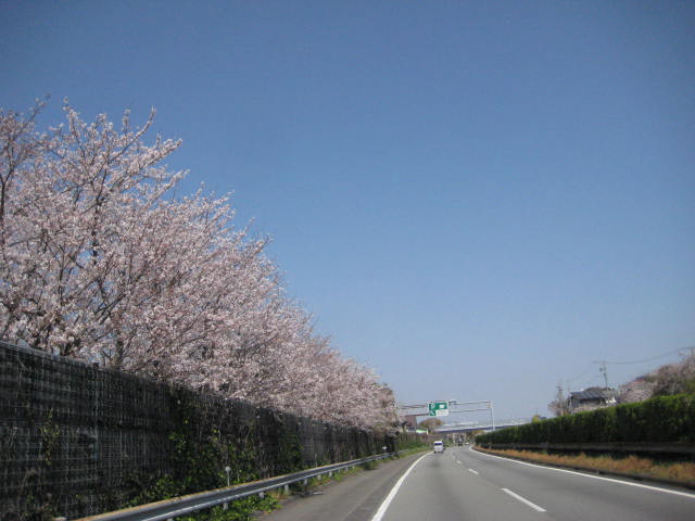 イメージ 25