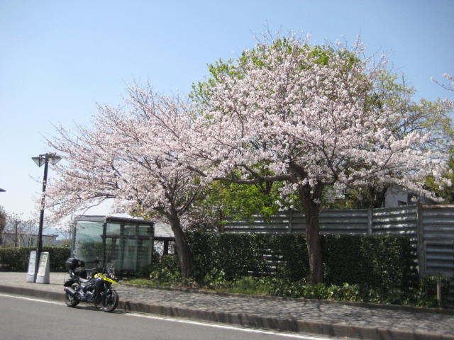 イメージ 26