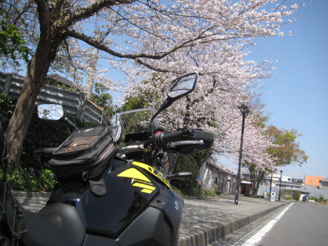 イメージ 27