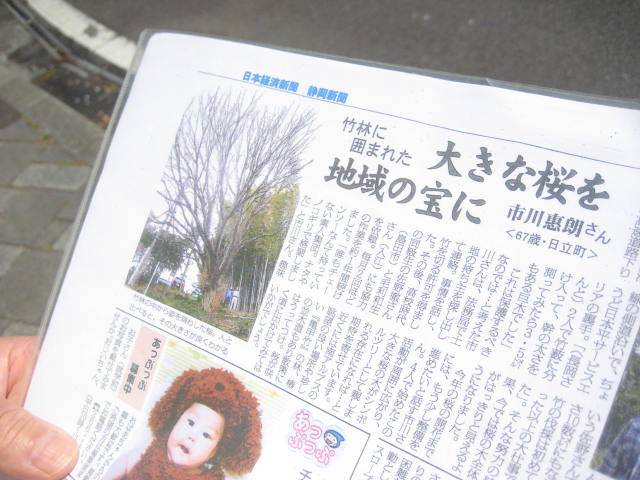 イメージ 30