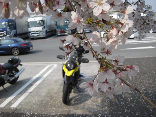 イメージ 4