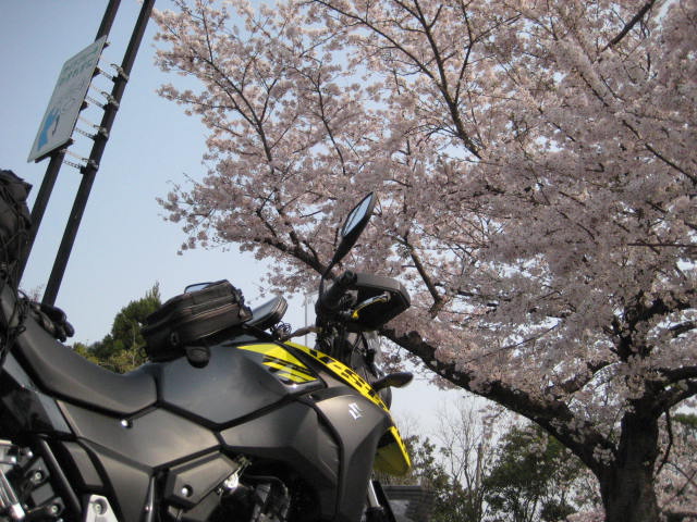 イメージ 6