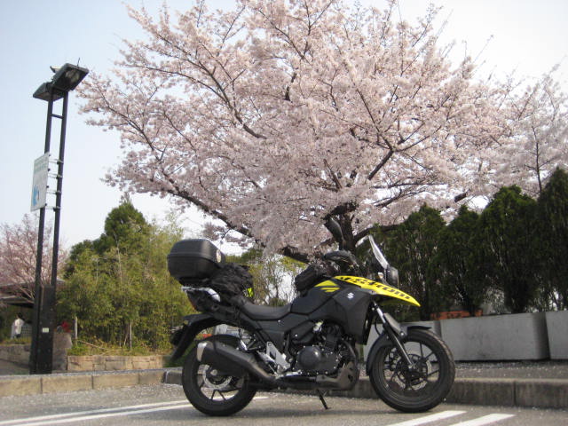 イメージ 7
