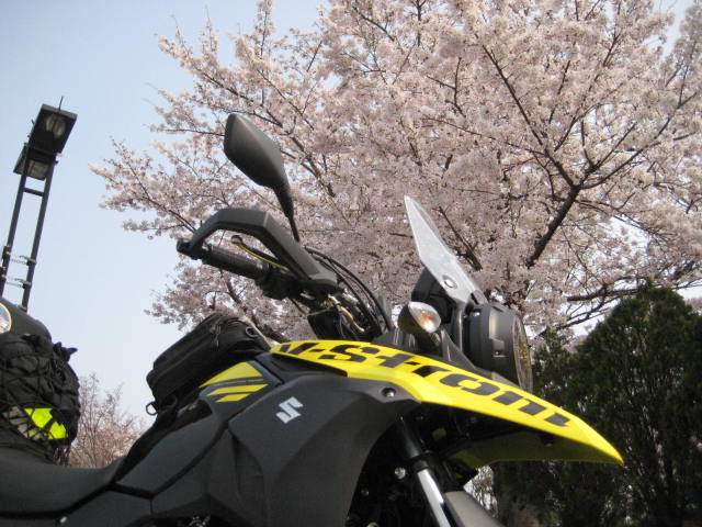 イメージ 9