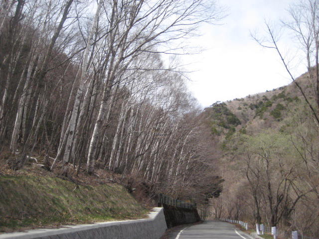 イメージ 18