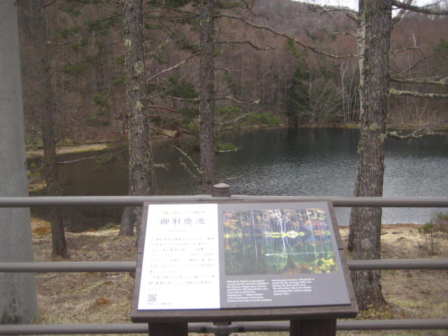 イメージ 16
