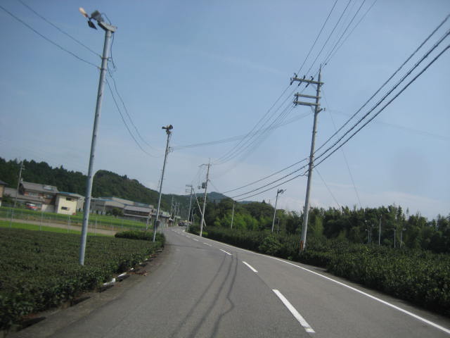 イメージ 38