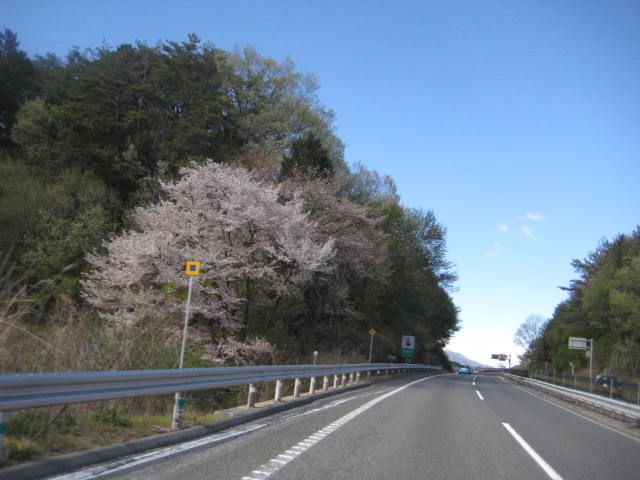 イメージ 13