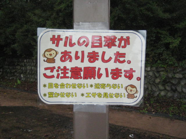 イメージ 13