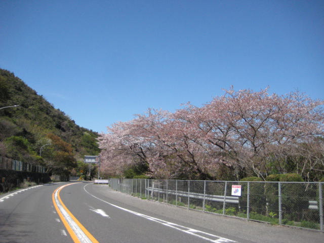 イメージ 15