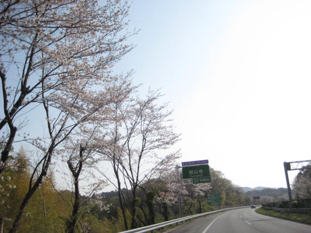 イメージ 37