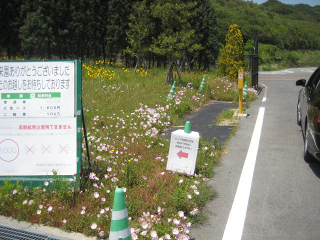 イメージ 22