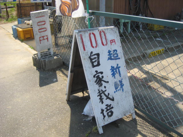 イメージ 36