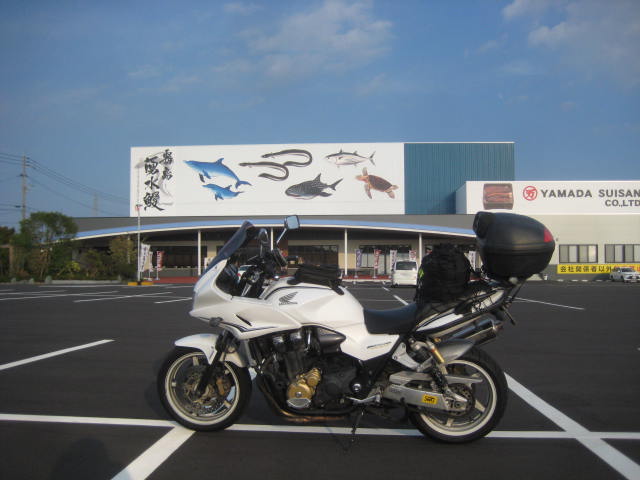 イメージ 17