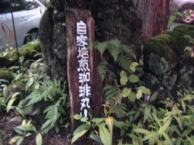 イメージ 6