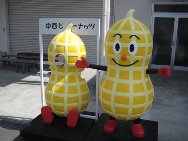 イメージ 7