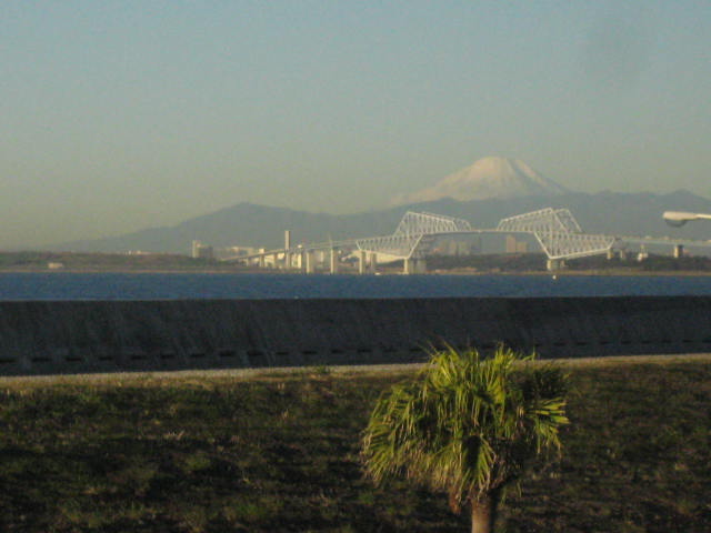 イメージ 7