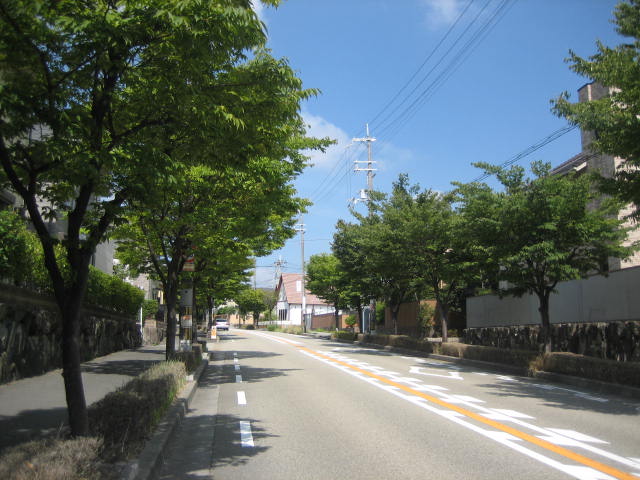 箕面小野原からロマンチック街道へ バイクで遠足しませんか