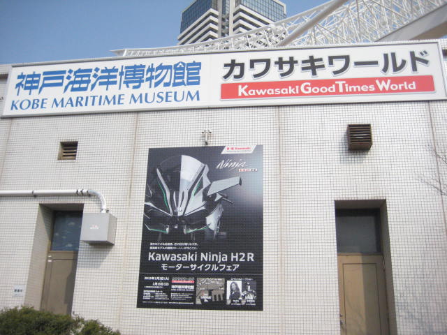 イメージ 6