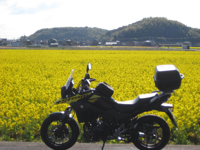 イメージ 24