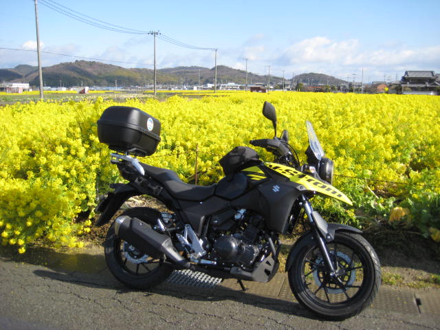 イメージ 26