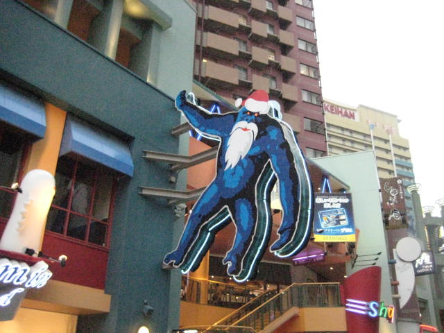 イメージ 7