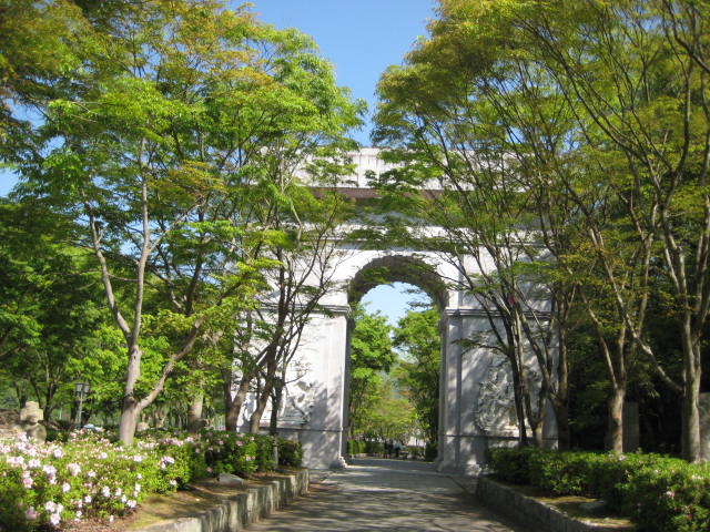 イメージ 6