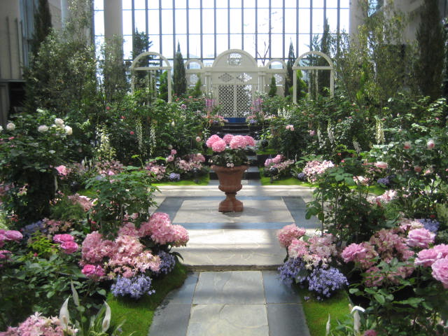 イメージ 11