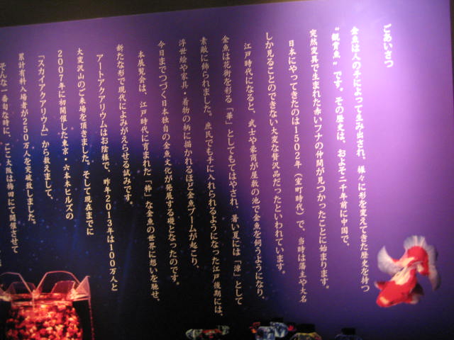 イメージ 36