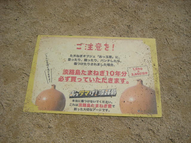 イメージ 11