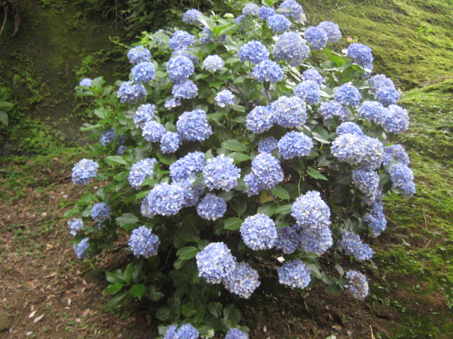 イメージ 20