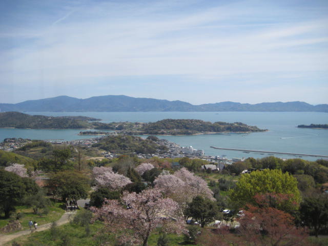 イメージ 8