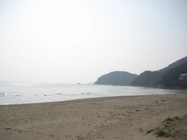 イメージ 5