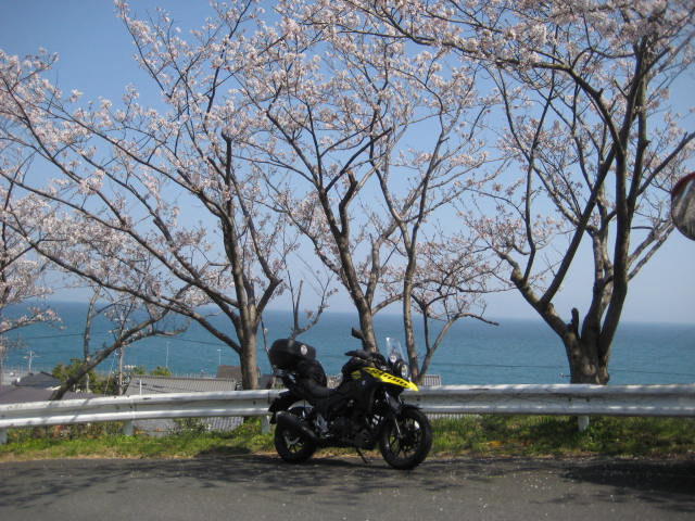 イメージ 19