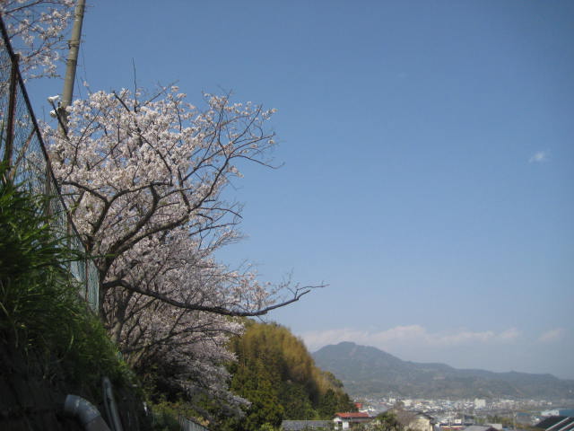 イメージ 20