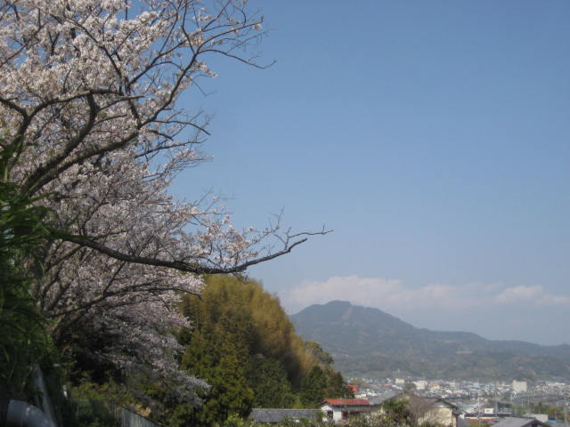 イメージ 25