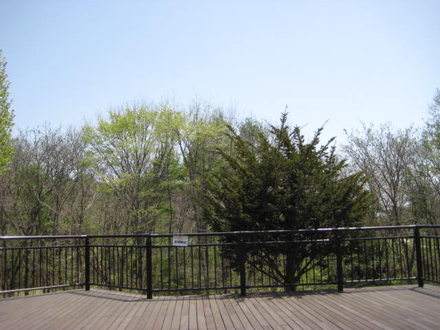 イメージ 11