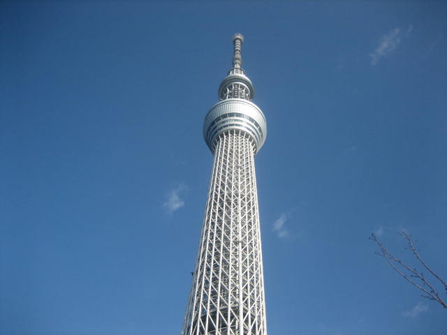 イメージ 8