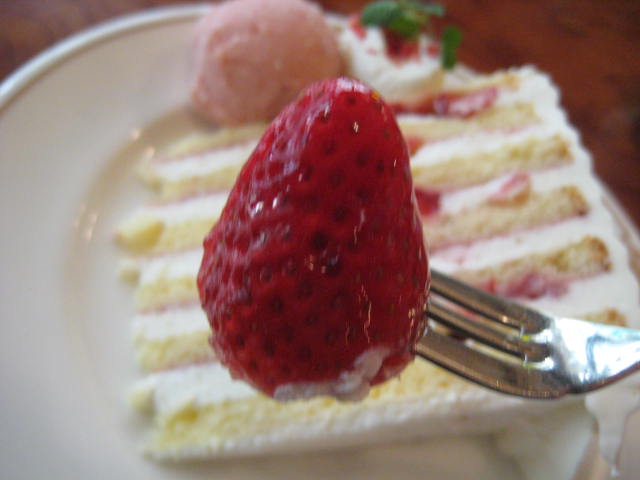 イメージ 33
