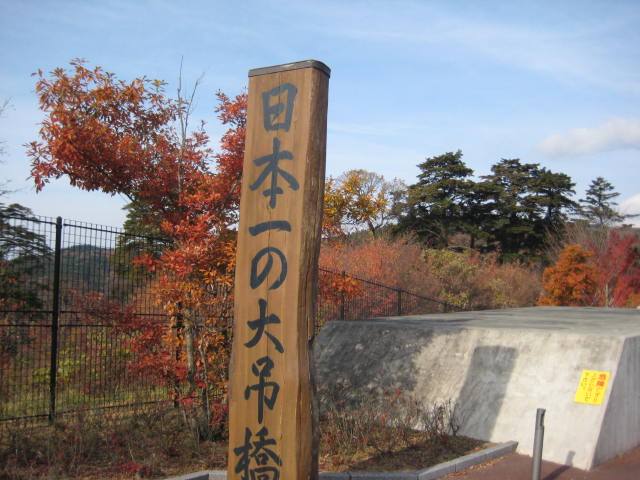 イメージ 8
