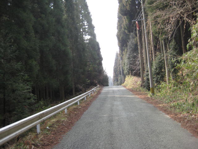 イメージ 19