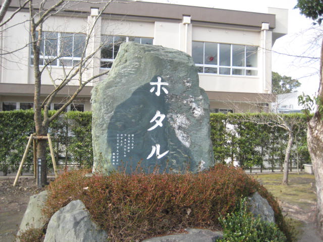イメージ 17