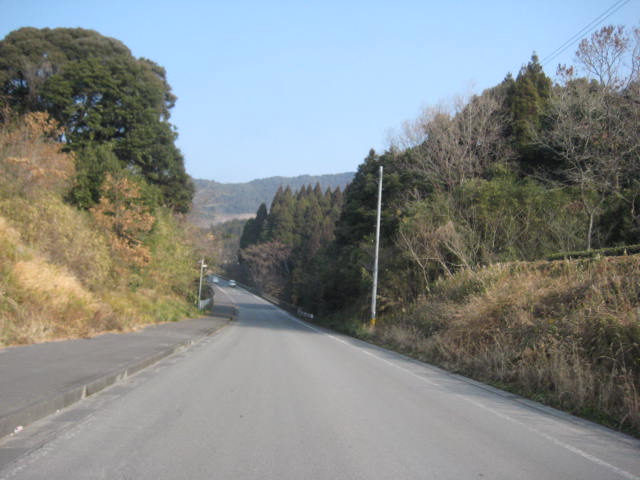 イメージ 31