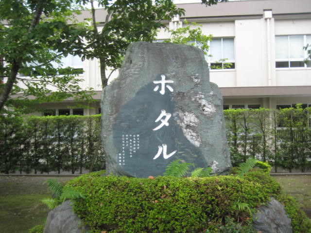 イメージ 14