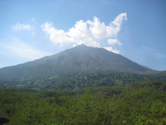 イメージ 13