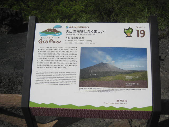 イメージ 15