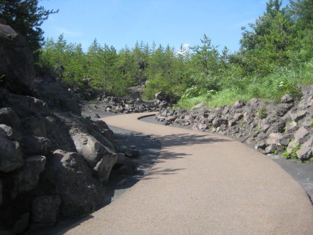 イメージ 18