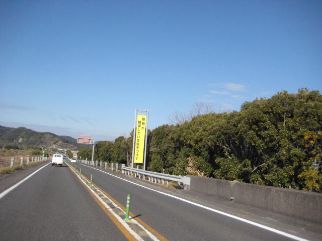 イメージ 13